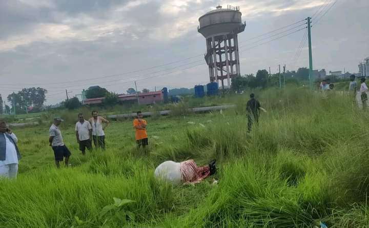 गोठबाट हराएको गाई काटिएको अवस्थामा फेला