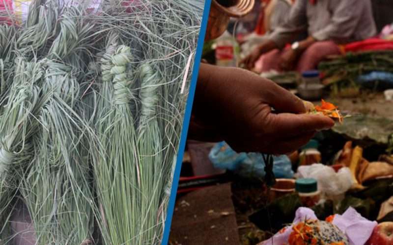 आज बुबाको मुख हेर्ने दिन,के छ कुशेऔंसिको महत्व