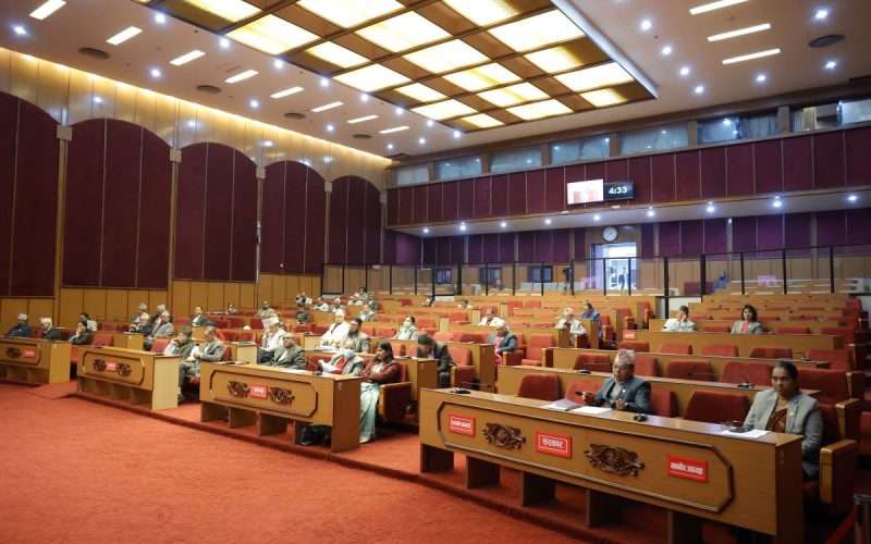 यौन व्यवसायको प्रस्ताव राष्ट्रिय सभामक आलोचनाको विषय ।