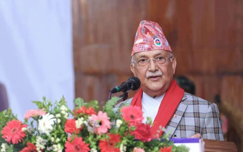 गैह्रआवसीय नेपाली सङ्घलाई एकताबद्ध, मर्यादित र उद्देश्यकेन्द्रित बनाउन प्रधानमन्त्रीको आग्रह