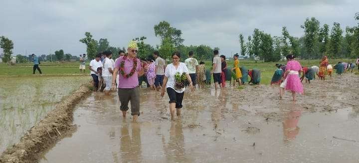 गुलरियामा उत्साहपूर्वक मनाइयो २२ औँ राष्ट्रिय धान दिवस
