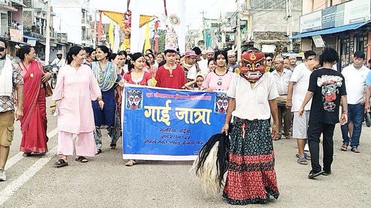 गुलरियामा गुञ्जियो गाईजात्रा, संस्कृति र सम्झनाको उत्सव